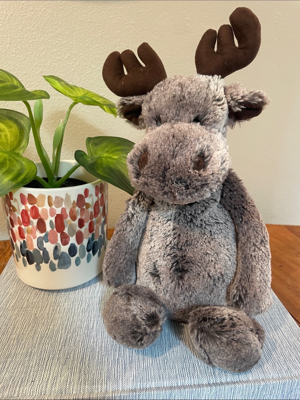 Jellycat Bashful Marty Moose Moose Plush – Retired Woodland 9"